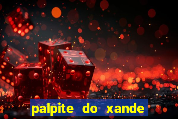 palpite do xande de hoje